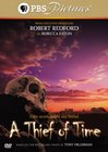 A THIEF OF TIME
